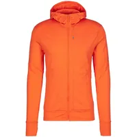 Icebreaker Merino 260 Quantum IV Hoodie Jacke (Größe M