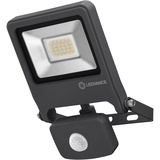 LEDVANCE Endura Flood Sensor 20 W 239500