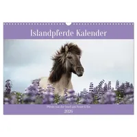 Calvendo Islandpferde Kalender (Wandkalender 2026 DIN A3 quer), CALVENDO