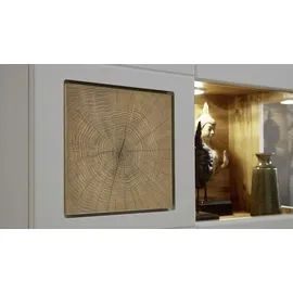 Innostyle Wohnwand Fun PLUS II - grau