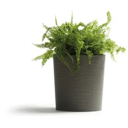SIENA GARDEN Pflanzgefäß »ECO Lens«, Kunststoff/Holzfaser, witterungsbeständig - grau