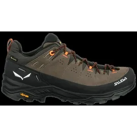 Salewa Alp Trainer 2 GTX Herren Bungee Cord/Black 46