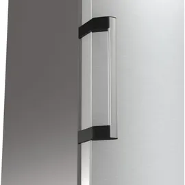 Gorenje R619DAXL6 Kühlschrank (398 l, 1850 mm hoch, Grau)