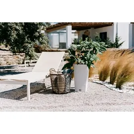 Prosperplast Furu Square 60 x 60 x 60 cm Grau