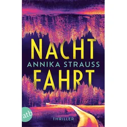 Nachtfahrt