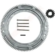 F1 DISTRIBUTION Zahnkranz Für Briggs & Stratton 399676 696537