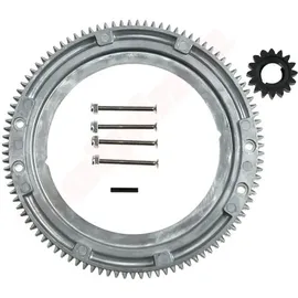 F1 DISTRIBUTION Zahnkranz Für Briggs & Stratton 399676 696537