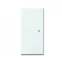 Busch-Jaeger Wippschalter 6230-20-84