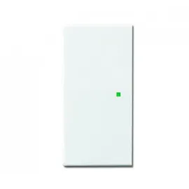 Busch-Jaeger Wippschalter 6230-20-84