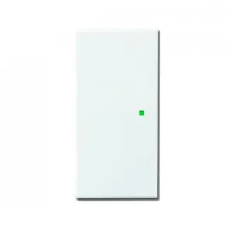 Busch-Jaeger Wippschalter 6230-20-84