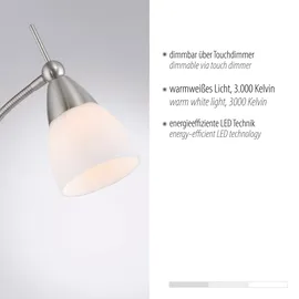 Paul Neuhaus Pino 111 cm x 163 cm grau