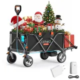 LiTHELi Bollerwagen W1 Pro grün
