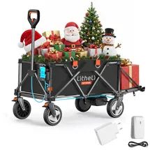LiTHELi Bollerwagen W1 Pro grün