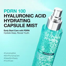 Anua PDRN Hyaluronic Acid Gesichtsspray 100 ml