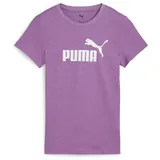 Puma Unisex ESS No. 1 Logo Heather Tee Wild Berry Heather,