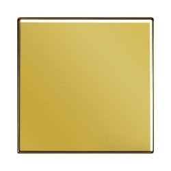 Wippe  für Schalter und Taster (goldfarben)