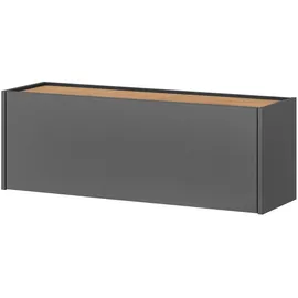 furn.design Center Hängeschrank 100 x 35 x 30 grau