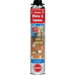 Pistolenschaum 1-K Winter & Sommer