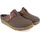 HAFLINGER Grizzly Chicago Braun 45