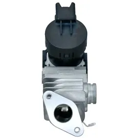 Hella 6NU 014 864-981 AGR-Ventil elektrisch, mit Dichtungen
