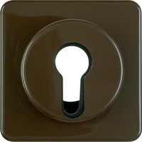 Berker Zentralstück für Schlüsselschalter/-taster IP44, braun