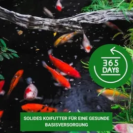 Kenkou Koi Fischfutter Allround 3 mm 5 kg