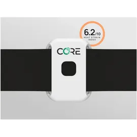 Core 2 Thermal Sensor