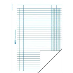 Avery Zweckform Kolonnenbuch A4 2 Kolonnen 2x50 Blatt