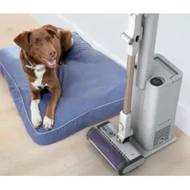 Shark Detect Akku-Handstaubsauger