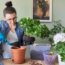 Biovita Blumenerde 5 l