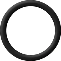 Fein Sicherungsring Ø 38 mm