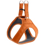 Hunter Hilo, Hundegeschirr mit Leder, für kleine Hunde Farbe orange, Größe XS-S
