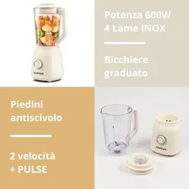 G3 Ferrari G20162 Standmixer