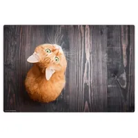 cover-your-desk.de Schreibtischunterlage "Orange Katze" in Orange (L)60 x (B)40 | Gr.: onesize