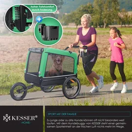 Kesser Boxer 3-in-1 grün