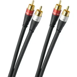 Audio Link (Versandkostenfrei)