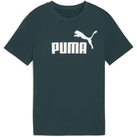 Puma ESS No. 1 Logo Tee B Tees (1er Pack)