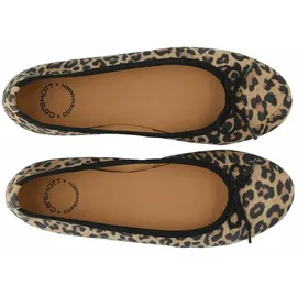 Ca'Shott "Ca'Shott Ballet flats CASELVIRA", Damen, Gr. 37, Normalschaft, leopard print, Obermaterial: 100% Leder, Schuhe Ballerina