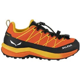 Salewa Wildfire 2 PTX Schuhe (Größe 36