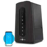 Air Naturel Clarence Connecté Luftbefeuchter 5 Liter schwarz
