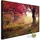 Papermoon Infrarotheizung Herbstbäume 750 W bunt