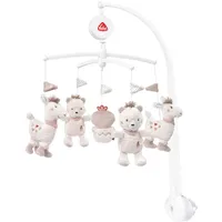 Fehn Peru - Musikmobile