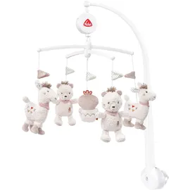 Fehn Peru - Musikmobile