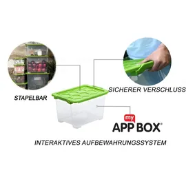 Rotho Aufbewahrungsbox Evo Safe Keeping 39,3 x 28,3 x 23 cm 3-tlg. transparent/grün