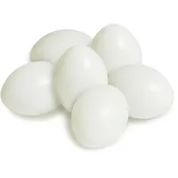 Meyco Kunststoff-Plastik - Eier in Weiss 50St. - 60