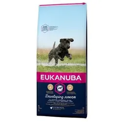 EUKANUBA Developing Junior Large Huhn 15 kg