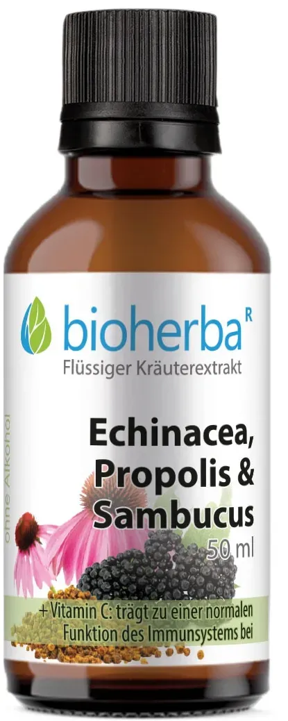 Echinacea, Propolis und Sambucus Tropfen, Tinktur 50 ml