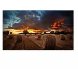 Samsung VM55B-U 55"