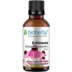 Echinacea