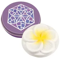 Taoasis Mini Duftstein Frangipani 10 Stück